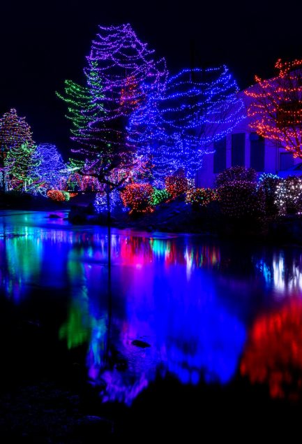 commercial denver christmas light installers