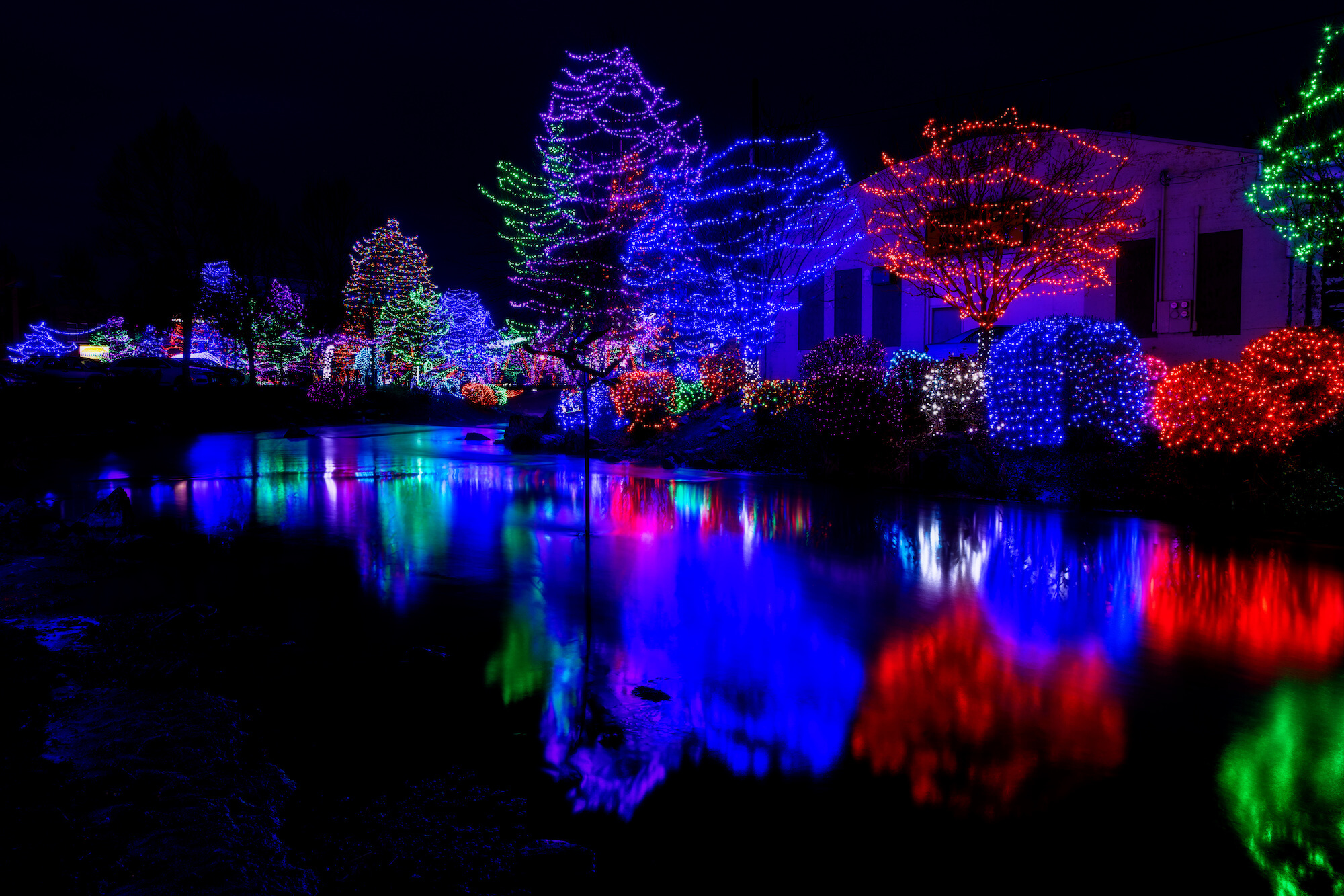 commercial denver christmas light installers