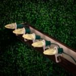 0037399_c9-decorate-like-a-pro-kit-100-led-diamond-faceted-warm-white-green-wire-w12-bulb-spacing_150